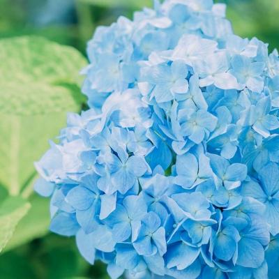 im电竞·(中国)官方网站